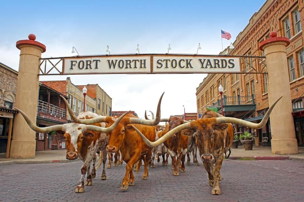Scottish Inns Fort Worth Buitenkant foto